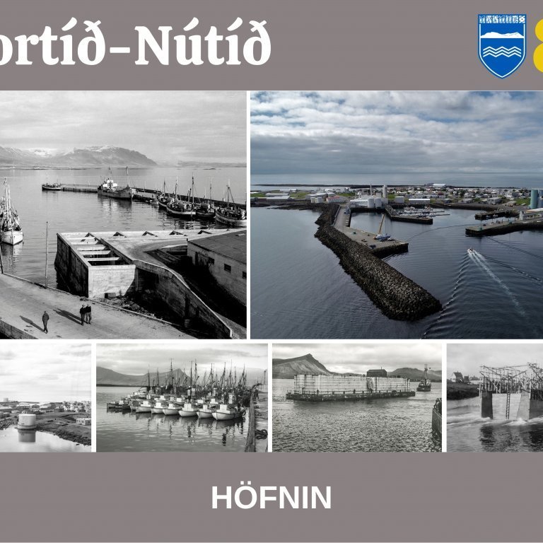 Höfnin